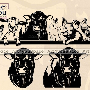 Stier SVG-bestand Cricut, vee clipart, Buffalo Head vector stencil, koe gezicht png, vee boerderijdieren EPS-download, CNC plasma dxf laser
