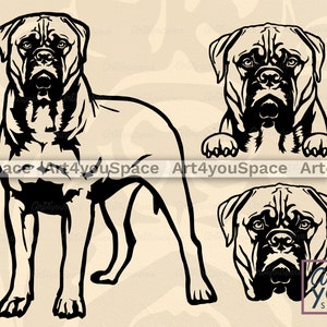 Bullmastiff dog Svg files for Cricut, pet clipart Download, dxf, cameo silhouette, printable art, png, face head body paw, breed