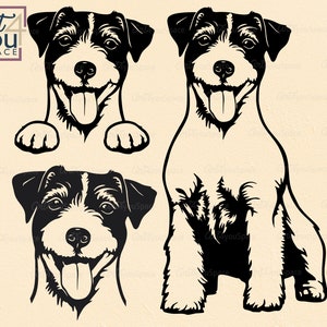Jack Russell Terrier SVG, perro asomando SVG Cricut, perro DXF, cara, cuerpo, descargar, clipart, png, vector cortado con láser, archivos DXF para CNC, plasma