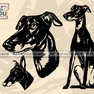 Greyhound Svg, file SVG di cane per Cricut, grafica vettoriale del volto di cane, cane seduto DXF, Clipart di razza, design di t-shirt PNG, download stampabile