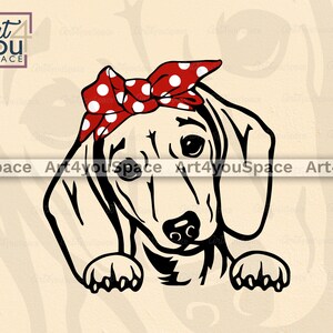 Doxie png