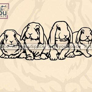 Rabbit SVG / Lop Eared Bunny Outline / Cricut Projects / Dxf Files for ...