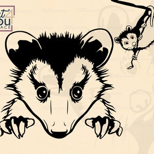Opossum SVG, opossum, forêt, opossum de Virginie sauvage, visage d'animal mignon, tête, vecteur, Clipart, téléchargement, Cricut, chemise svg, PNG, Dxf