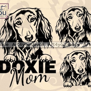 Langharige teckel svg, hond gezicht svg Cricut, Doxie moeder clipart, gluren huisdier Vector, png download, afdrukbare kunst, poot hoofd dxf-bestand knippen