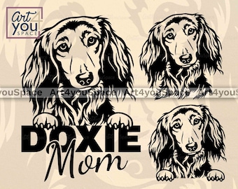 Longhaired Dachshund svg, Dog face svg Cricut, Doxie mom clipart, Peeking pet Vector, png Download, Printable art, paw head dxf cut file