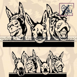 Esel auf dem Foto, lustiges spähendes Tiergesicht Dxf, Bauernhof Clipart Download, lustiger lustiger Esel, lustiger lustiger lustiger Esel, lustiger lustiger Esel