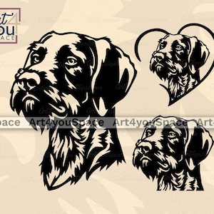 Deutsche Wirehaired Pointer, GWP Hund svg Cricut Projekt, Laser geschnitten Vektor, Jagdhund Rasse Clipart Download, Gesicht Kopf png Eps, dxf-Plasma