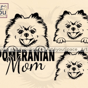 Pomeranian svg, dog SVG file for Cricut, Cute pet face clipart, breed, download, Pomeranian mom vector printable art png, dxf, shirt design