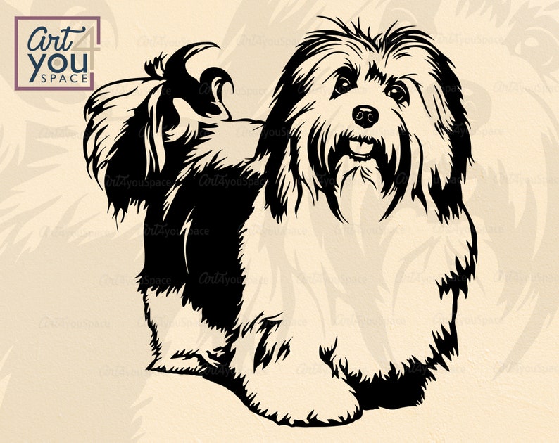 Download Havanese svg dog svg files for cricut cute pet face body ...