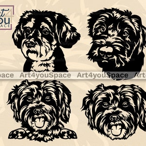Schnoodle hond svg-bestanden voor Cricut-project, vectorafbeelding, gluren huisdier gezicht hoofd poten Clipart, dxf, png, download afdrukbare kunst, ras