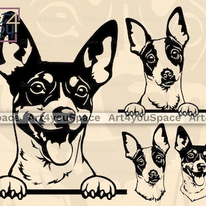 Rat terrier, chien fichiers Svg Cricut, clipart mignon visage d'animal de compagnie, animaux furtivement graphiques vectoriels, téléchargement imprimable Art Png, race Dxf, tête, Design