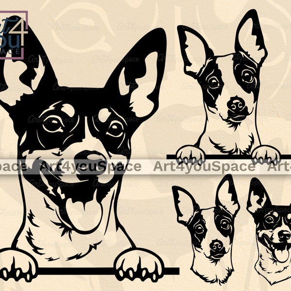 Rat Terrier, Dog Svg Files Cricut, Cute Pet Face Clipart, Animal Peeking Vector Graphics, Download Printable Art Png,Breed Dxf, Head, Design