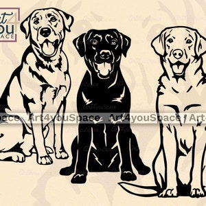 Labrador svg files for Cricut, dog svg clipart Instant Download, Lab dog design, Golden Retriever vector, sit body back, dxf plasma cutting