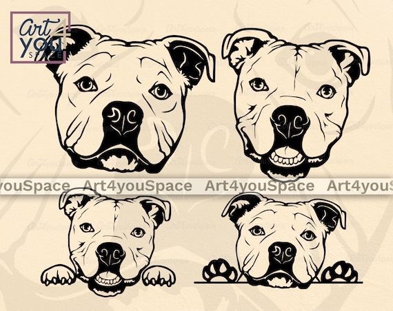 american bully shirts for sale