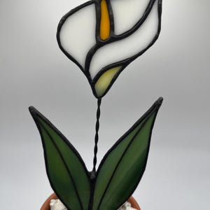 glass lily with pot