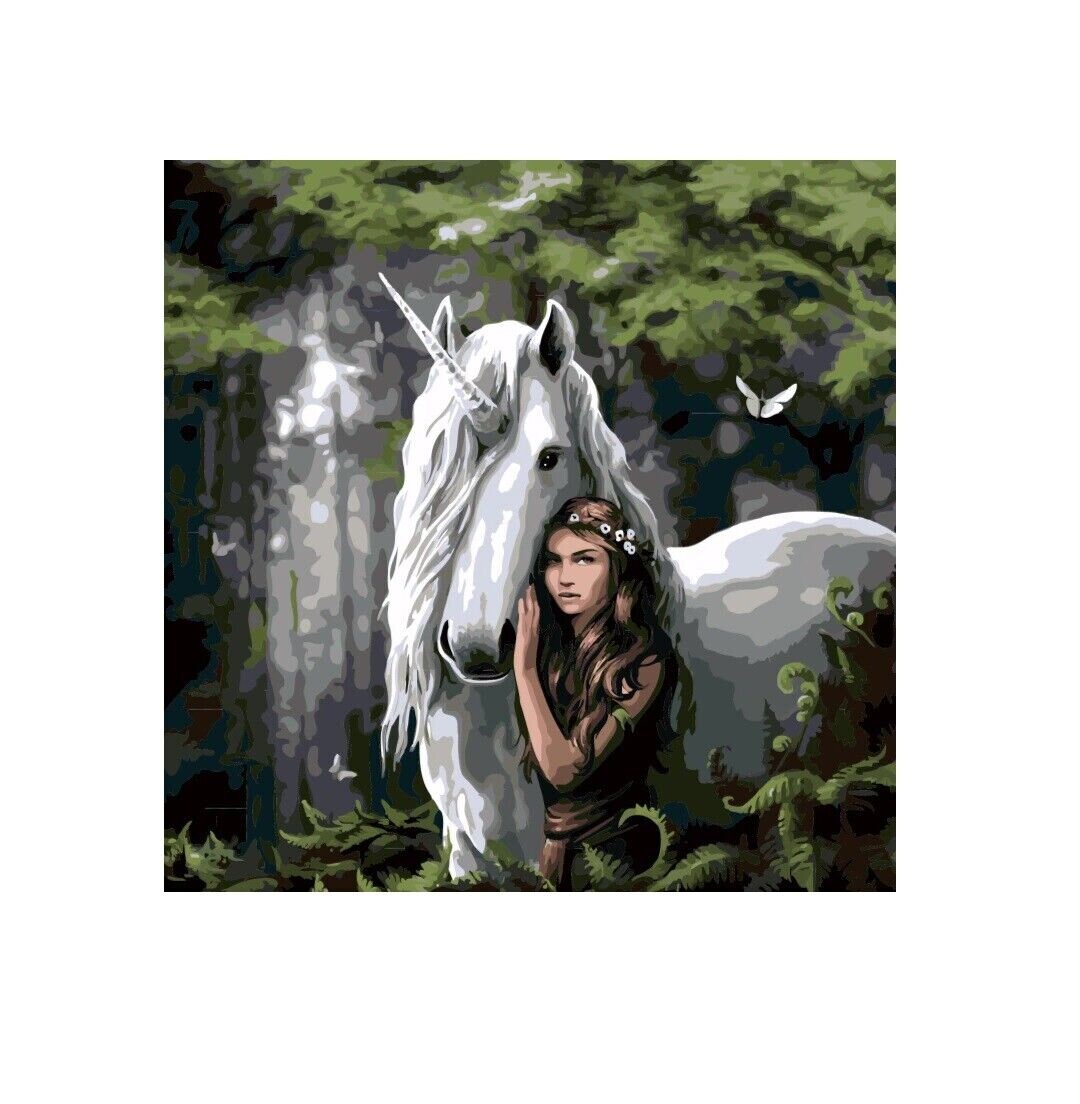 Forest Maiden Anne Stokes Paint by Numbers Pre Framed Canvas Etsy