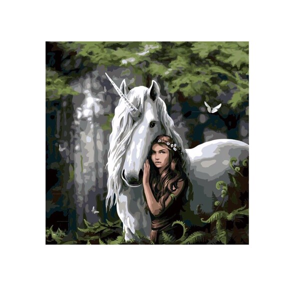 Paint by Number Canvas on Frame Etsy UK