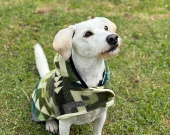 Handmade Ecuadorian Dog Coat | Water-Resistant Heritage Design