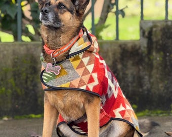 Handcrafted Water-Resistant Dog Poncho | Ecuadorian Design