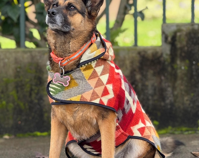 Handcrafted Water-Resistant Dog Poncho | Ecuadorian Design