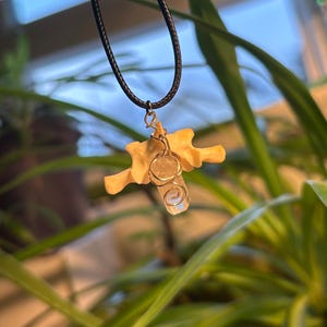 Real Bone Necklace - Groundhog Vertebrae with Clear Quartz - Ethically Sourced