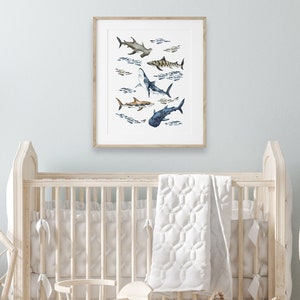 Watercolor Shark Printable Wall Art, Shark Poster Download, Kids Ocean Shark Illustration, Hammerhead Shark Wall Art, Nautical Nursery Decor