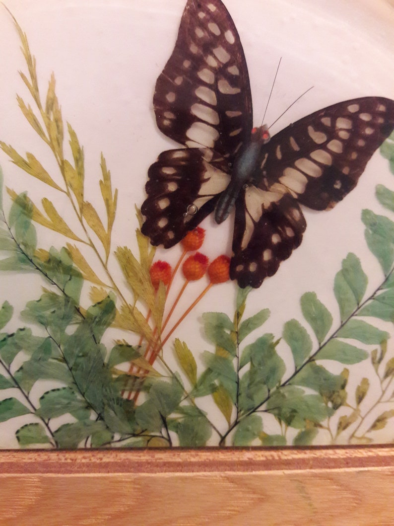 Butterfly wooden cheese board