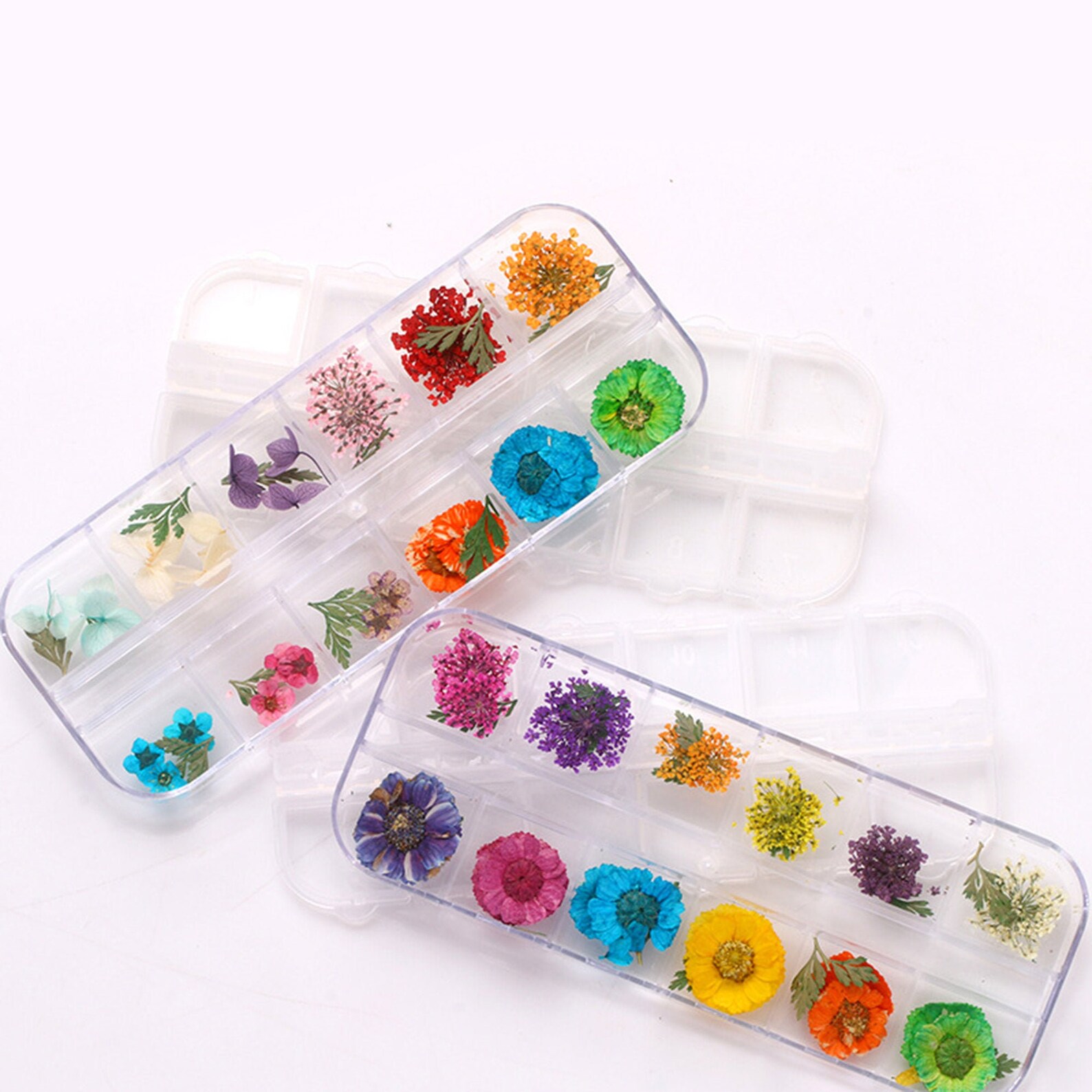 Popular Japanese Eternal Flowers Dried Flowers Colored Etsy