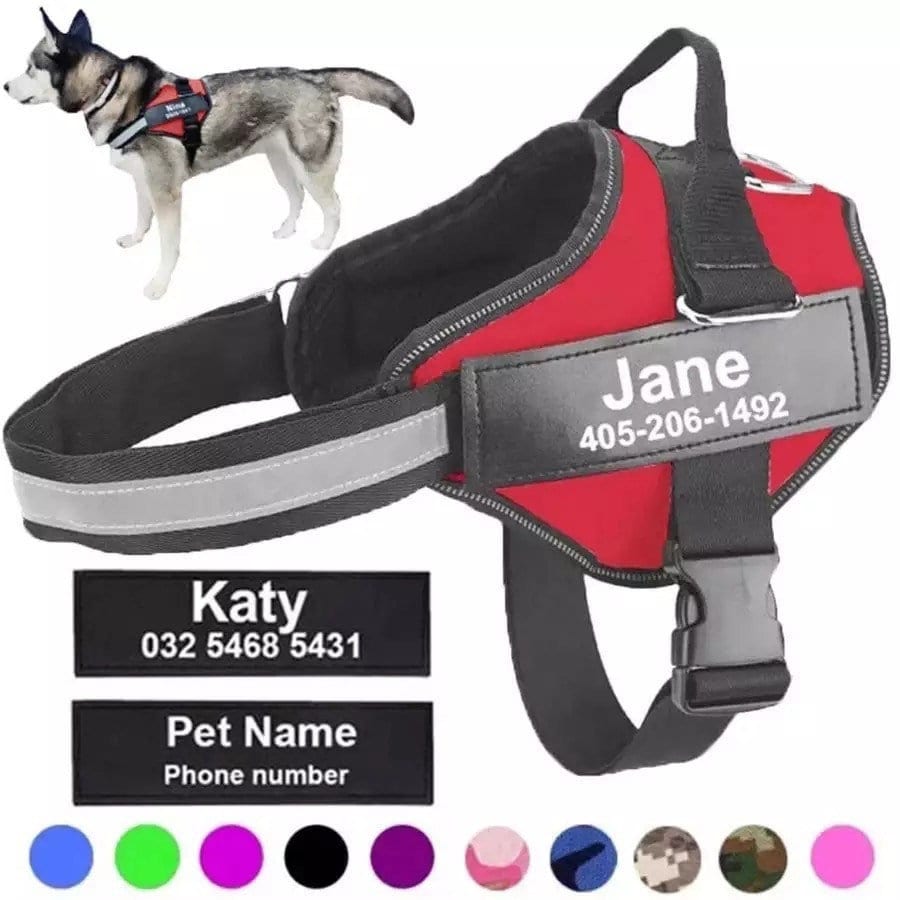 Dog Name Harness Etsy Canada