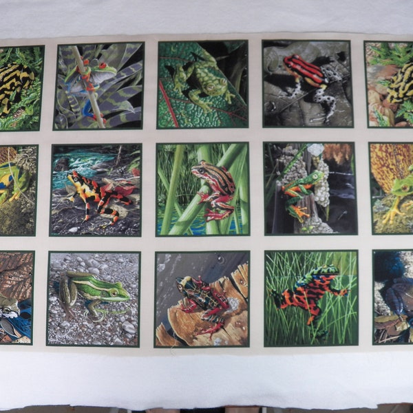 Fabric Panel of 15 Different Colorful Frogs in Nature, Carol Pieter Kempen for Elizabeth's Studio, 24" x 42", 100% Cotton Fabric Quilt Panel