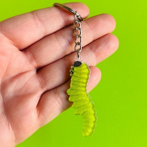 Pode incluir: Um porta-chaves com um pendente em forma de lagarta verde-lima translúcido e brilhante, com um pequeno detalhe preto na cabeça. O pendente está preso a uma argola de metal prateado por uma corrente curta e resistente de elos prateados.