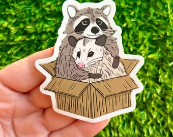 Raccoon and Possum Sticker Fun Stickers Water Bottle Sticker Cute Sticker Cute Stickers Craft Supply Raccoon Sticker Funny Stickers