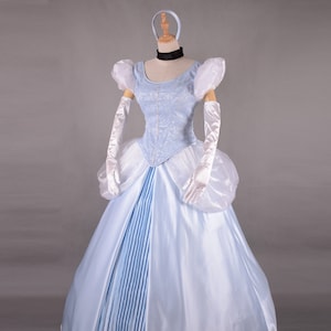 Adult Cinderella Dress Cinderella Cosplay Costume