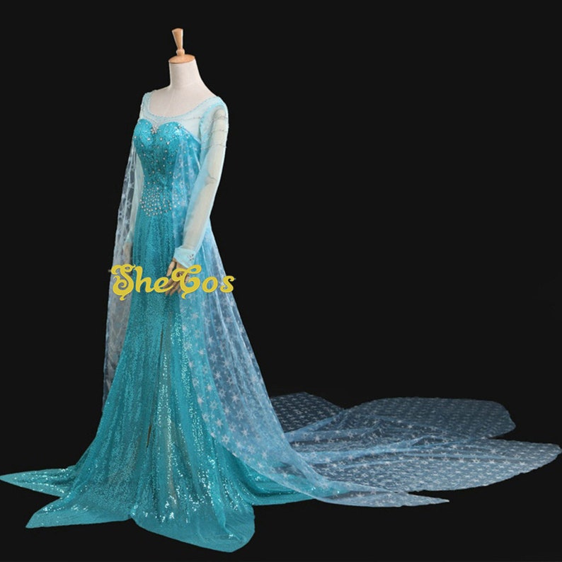 elsa costume adult cosplay