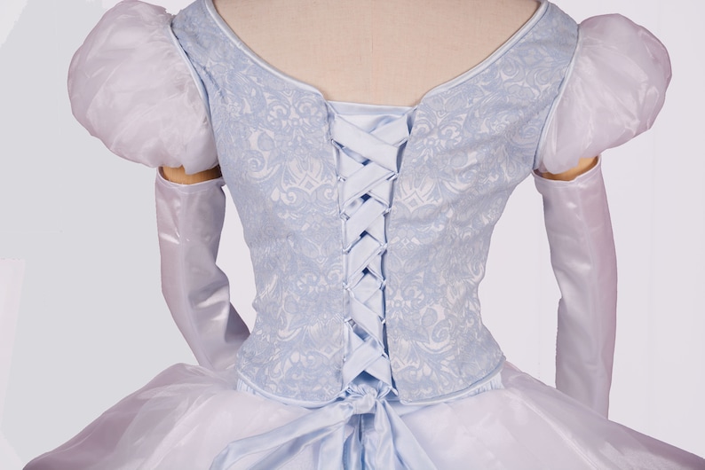 Disney Princess Cinderella Costume Cosplay outfit Cinderella Dress adult
