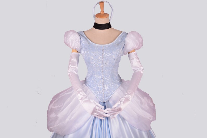 Disney Princess Cinderella Costume Cosplay outfit Cinderella Dress adult