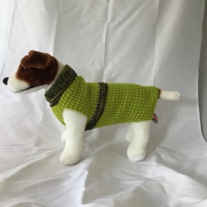 Dog (pet) sweater