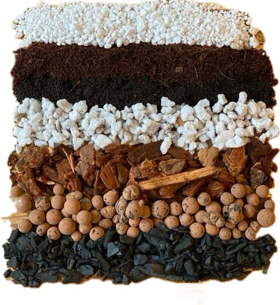 Gallon Bag Aroid Mix