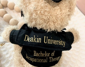 20cm Graduation Bear, University Graduate Gift, Student Gift, Class of 2024, Graduation Bear personalised, Graduation Gift