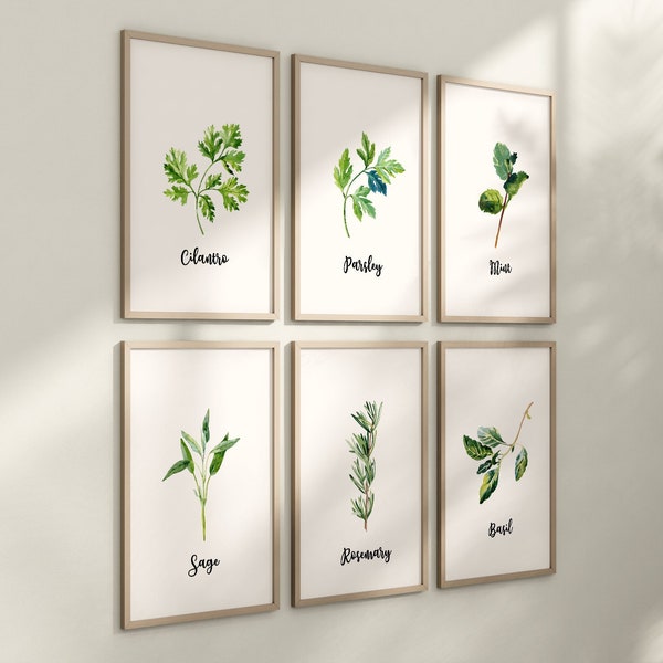 Set of 6 Kitchen Art Prints, Herb Prints, Kitchen Printables, Watercolor Herb Set Wall Signs, Oregano Sage Rosemary Basil Mint, Parsley, 091