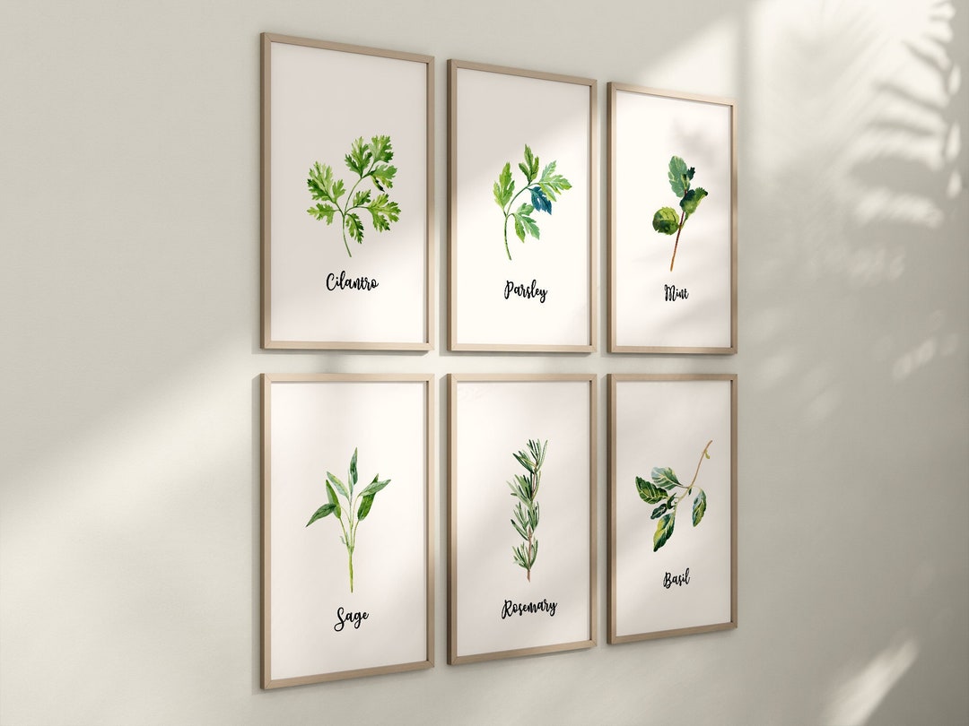 Set of 6 Kitchen Art Prints, Herb Prints, Kitchen Printables ...
