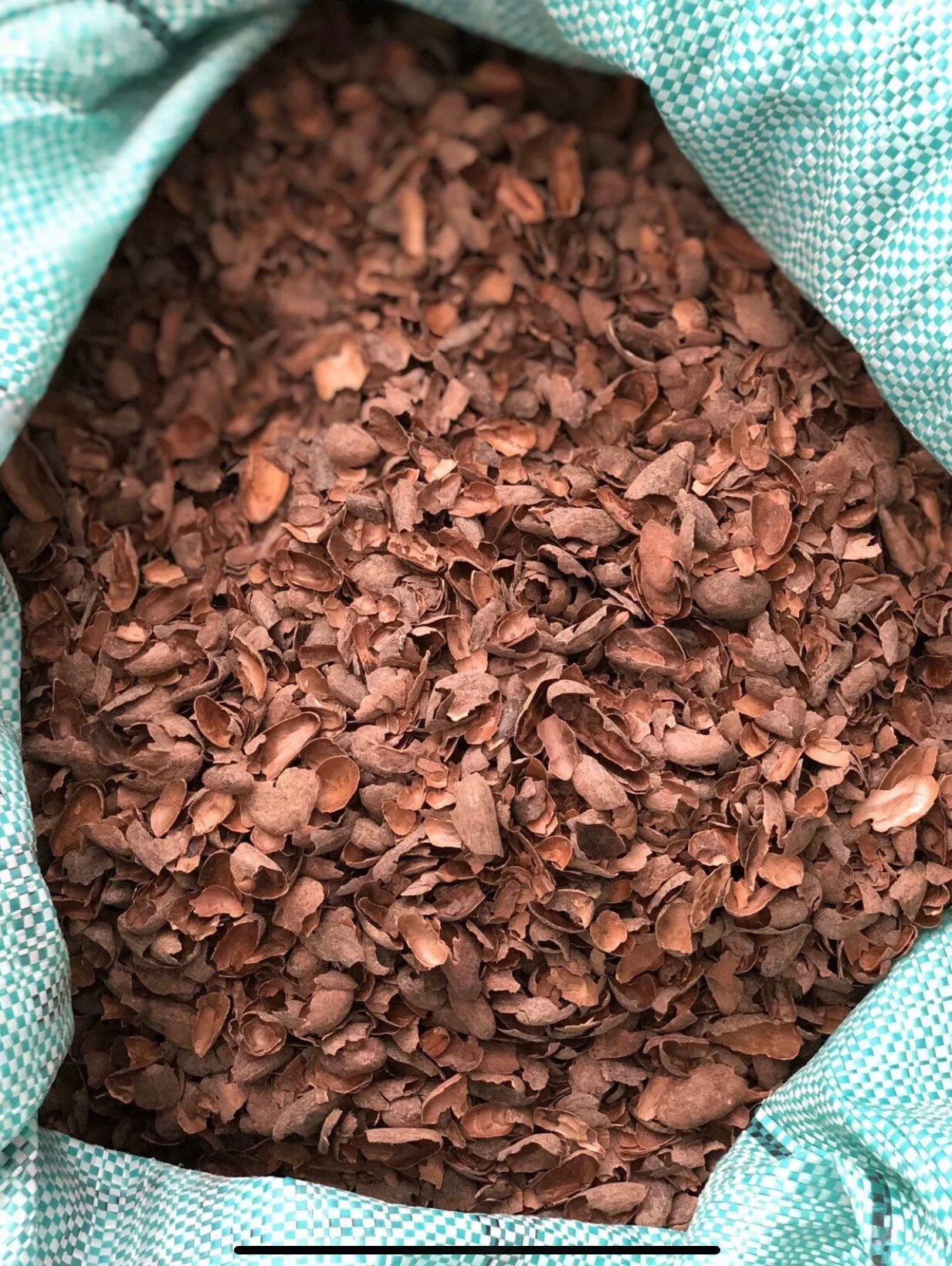 Organic Roasted Cacao Shells 8oz Etsy
