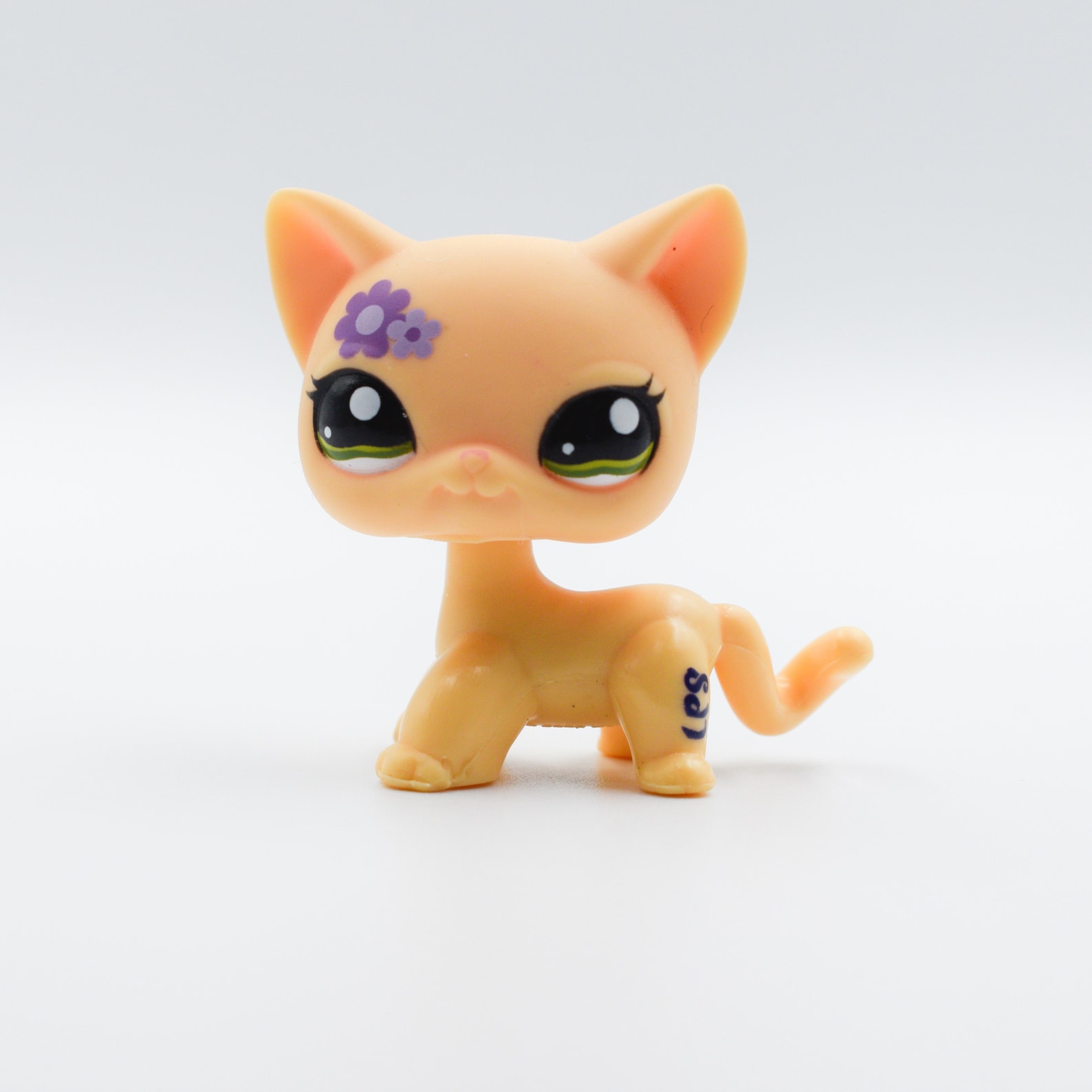 Rare Lps Web Series: Chloe'S Secret Discovered - 3b4x188