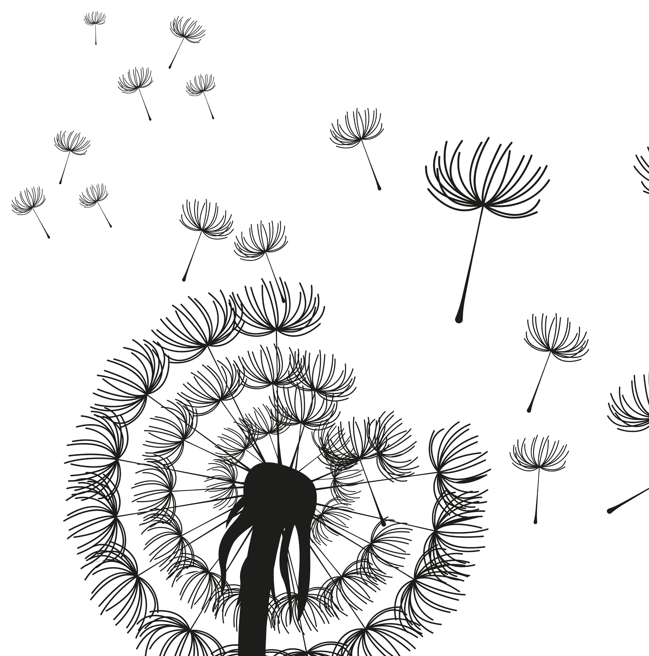 Dandelion Wall Art Print Dandelion Prints Dandelion Poster Etsy