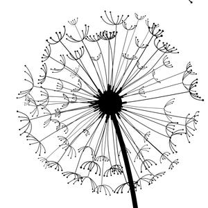 May include: A black and white graphic illustration of a dandelion seed head. The design features a central dark circular core with numerous thin, radiating lines extending outward, each ending in a small, delicate, multi-pronged seed structure.