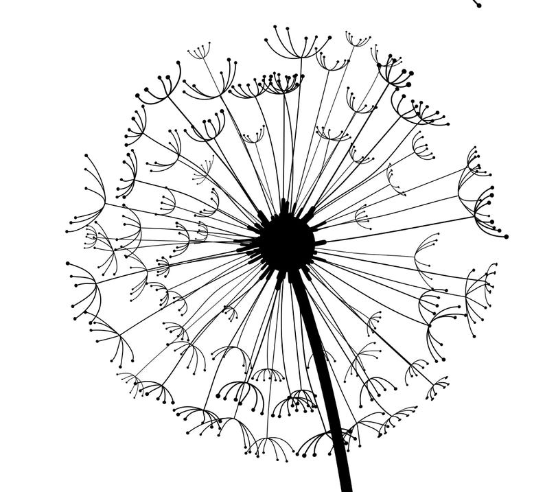 May include: A black and white graphic illustration of a dandelion seed head. The design features a central dark circular core with numerous thin, radiating lines extending outward, each ending in a small, delicate, multi-pronged seed structure.