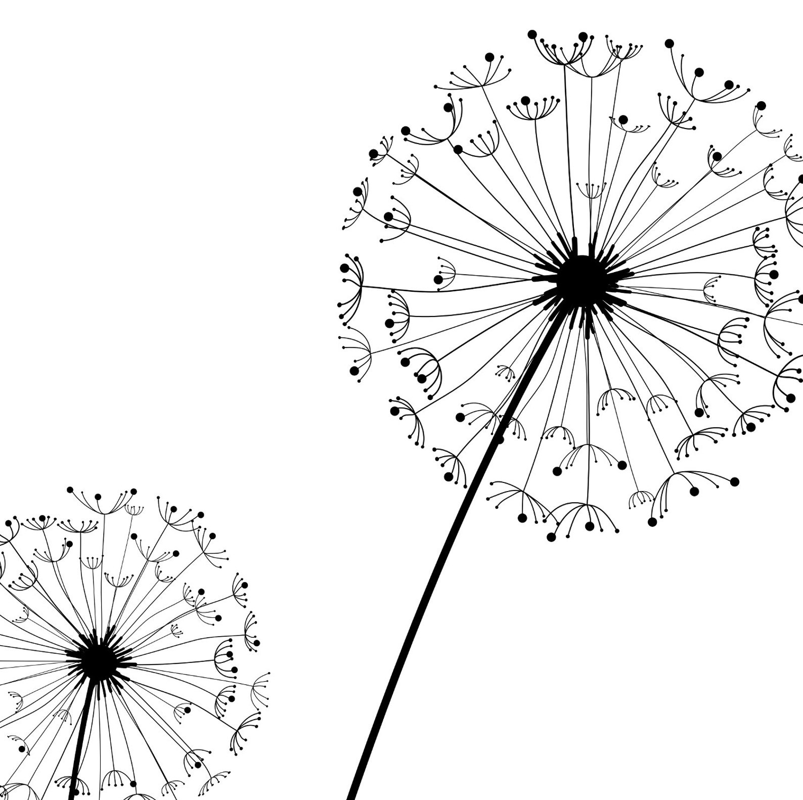 Dandelion Wall Art Print Dandelion Prints Dandelion Poster Etsy