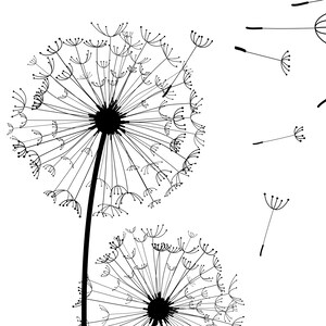 May include: A black and white graphic illustration featuring two dandelion seed heads on stems. The larger dandelion is positioned on the left, with several individual seeds floating away toward the right side of the frame against a plain white background.
