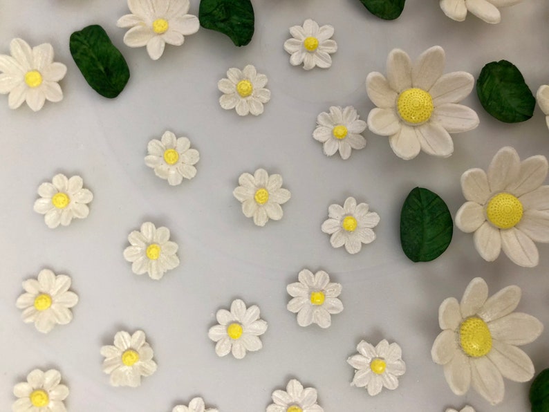 Edible Daisies. White Daisies Cake Decorations.edible Sugar Etsy