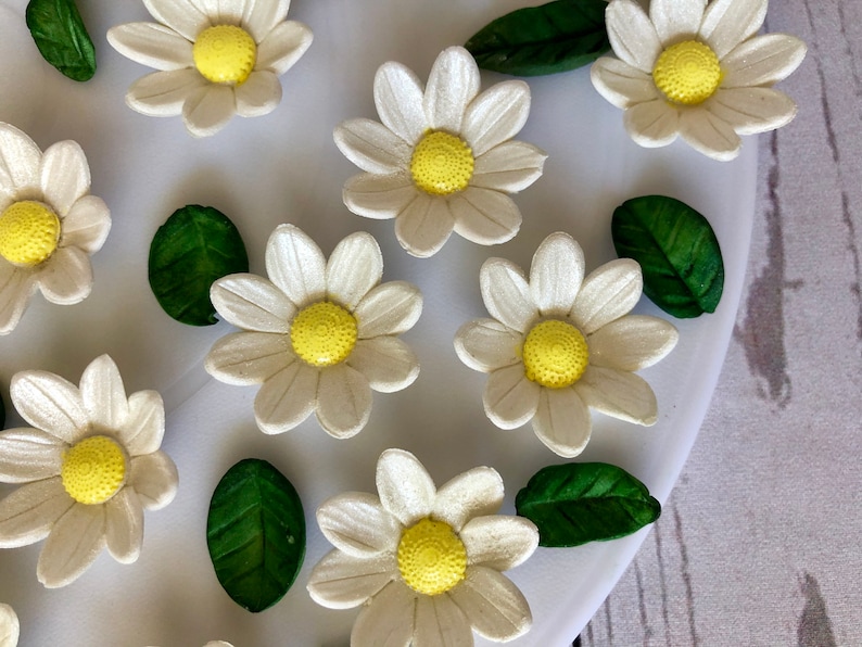 Edible Daisies. White Daisies Cake Decorations.edible Sugar Etsy